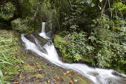 Charcos y cascadas la paila de lilia