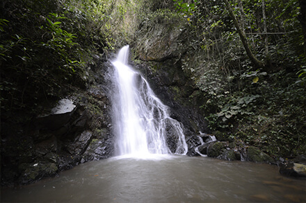 Charcos y cascadas la paila de lilia