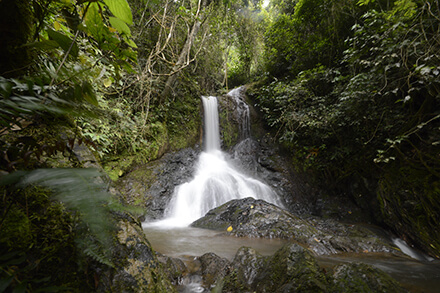 Charcos y cascadas la paila de lilia