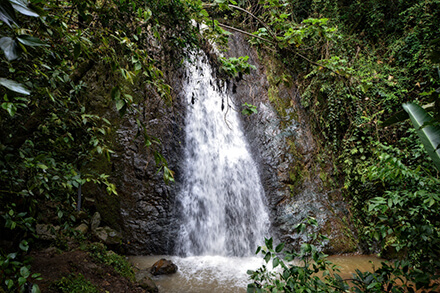 Charcos y cascadas la paila de lilia